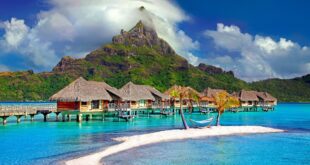 New Edge Luxury Travel